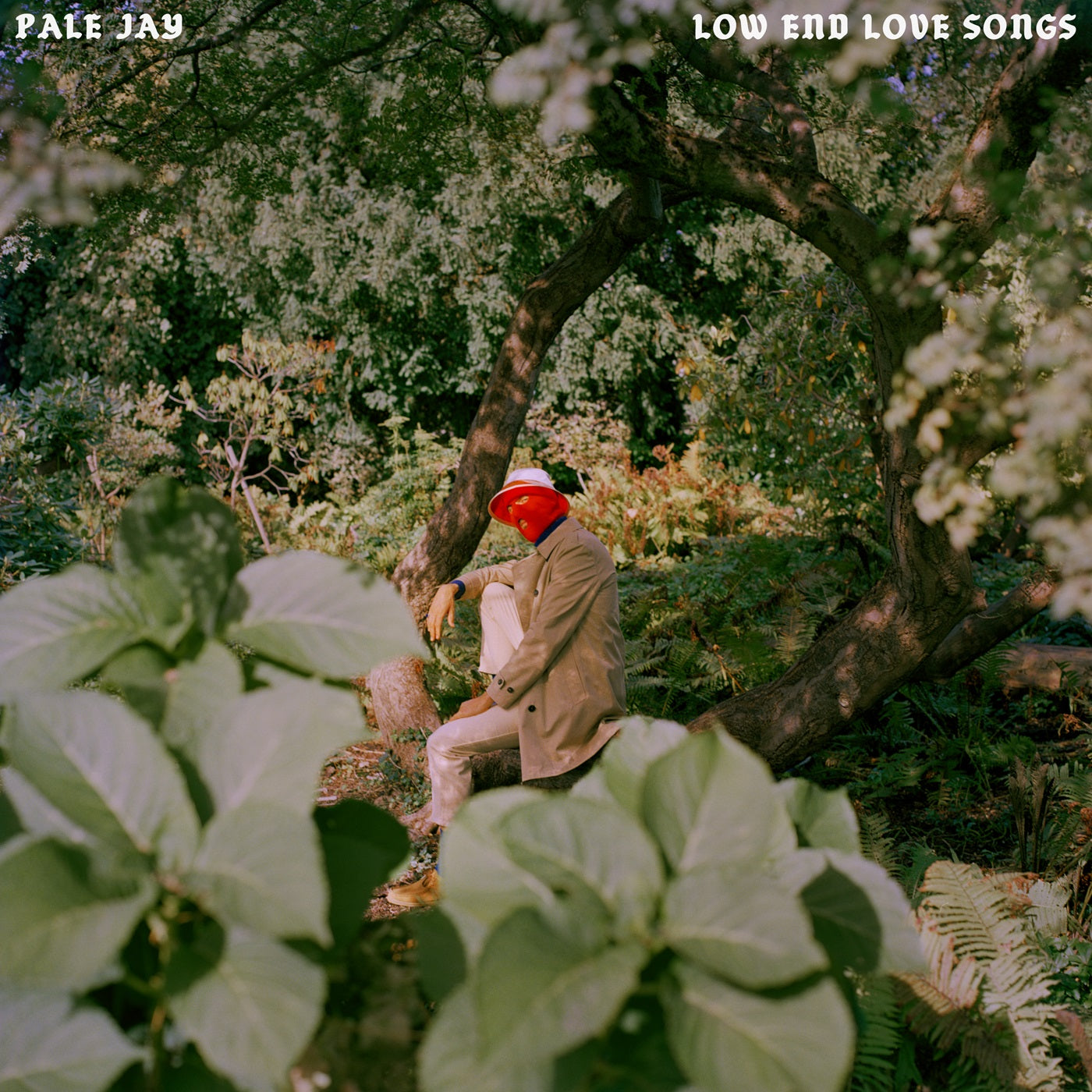Pale Jay - Low End Love Songs (Black Vinyl)